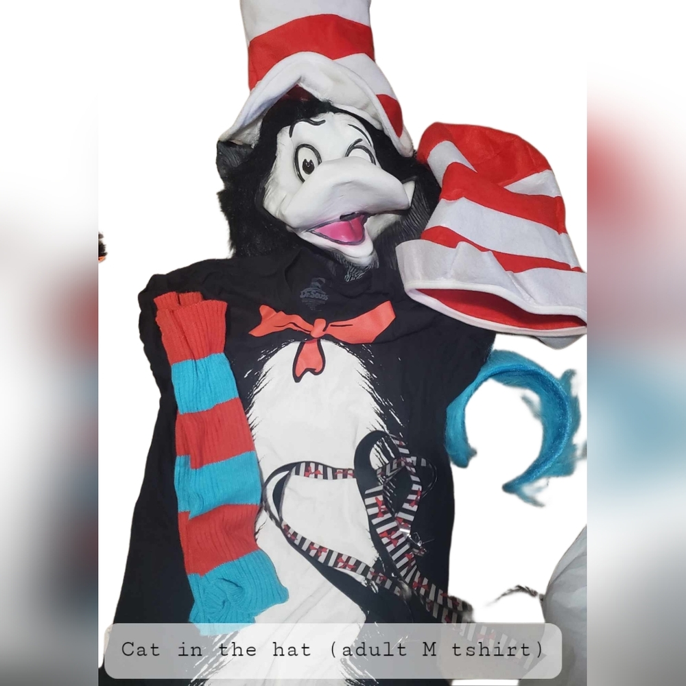 Cat in the hat costume